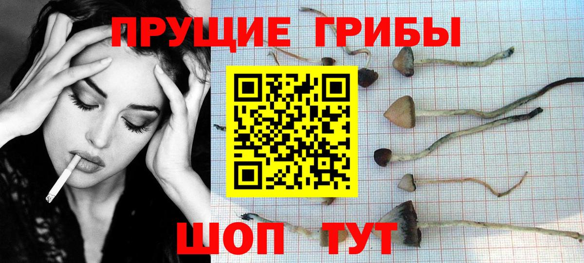 Псилоцибиновые грибы MAGIC MUSHROOMS Ангарск