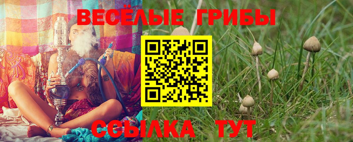 Ангарск  Галлюциногенные грибы Cubensis  Вход с VPN 